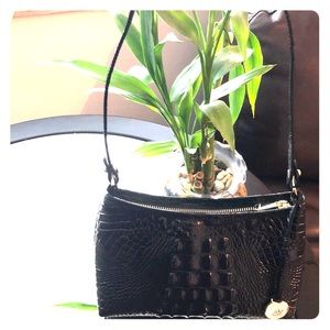 Anytime Brahmin bag.